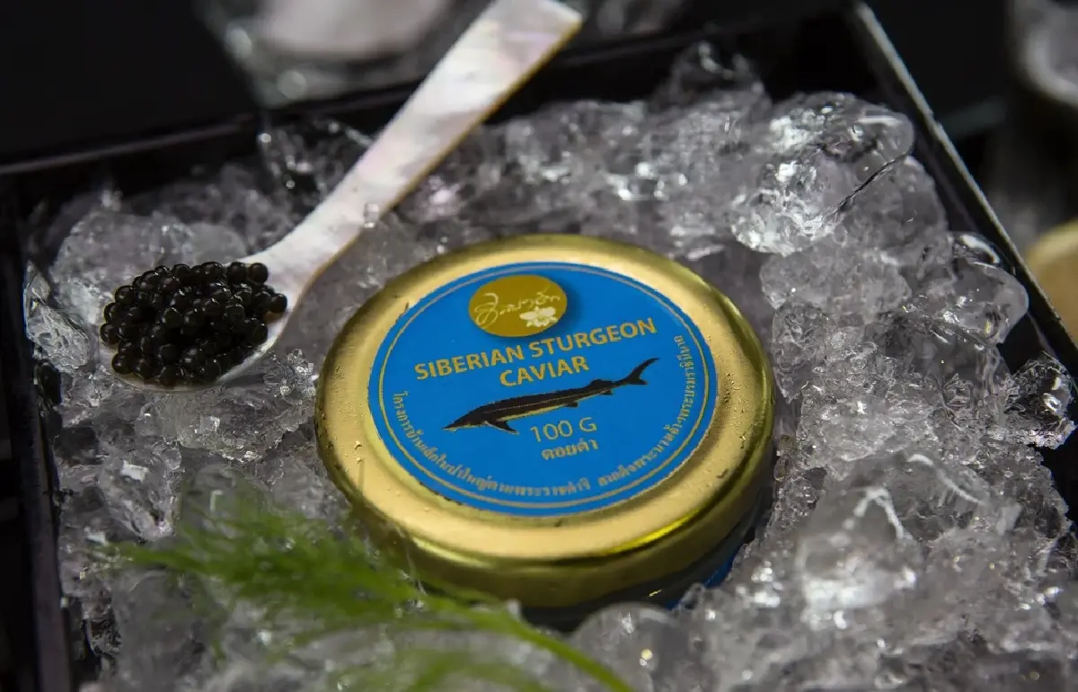 สมเด็จพระพันปีหลวง : คาเวียร์  ทรงสร้างอาชีพบนดอยสูงสู่ตำรับสากล