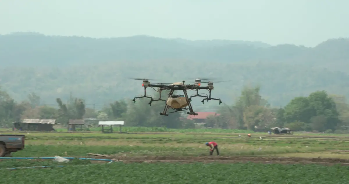 การยกระดับอุตฯมันฝรั่งในไทยดึงโนว์ฮาว  ลดจุดอ่อน-เสริมแกร่งรายได้เกษตรกร