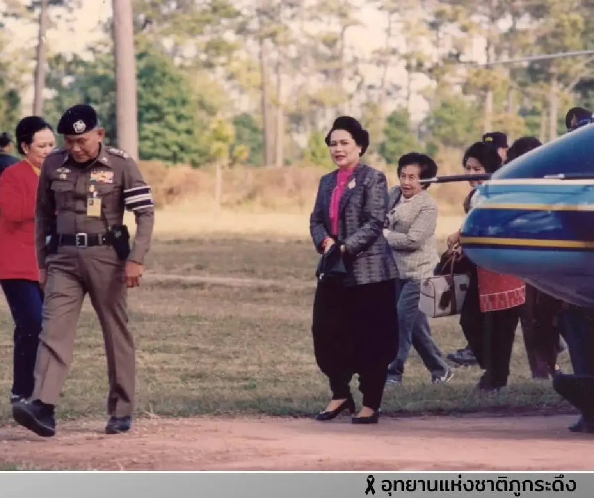 ตามรอย ต้นสนสามพันปี บนยอดภูกระดึง พระราชปณิธานสีเขียว 'สมเด็จพระพันปีหลวง'