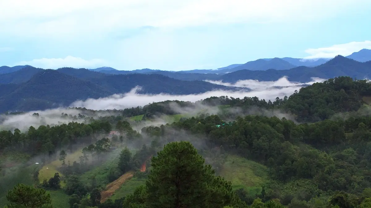 ชวนไปอาบป่า เที่ยวขุนขาน บ่อแก้ว สะเมิง ลิ้มรสอาหาร 4 ชนเผ่า