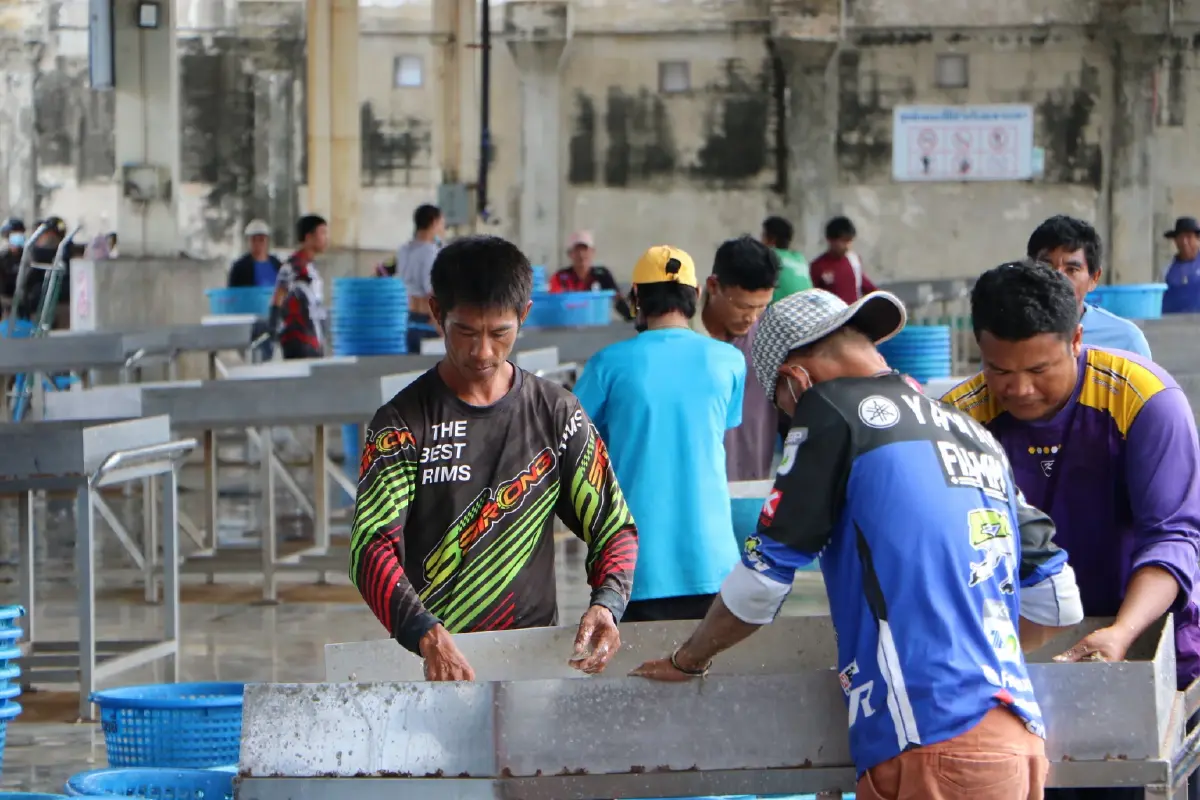 ‘แรงงานไทย’เปราะบางทุกมิติ  ปรับตัว- เพิ่มทักษะก้าวข้ามกับดัก