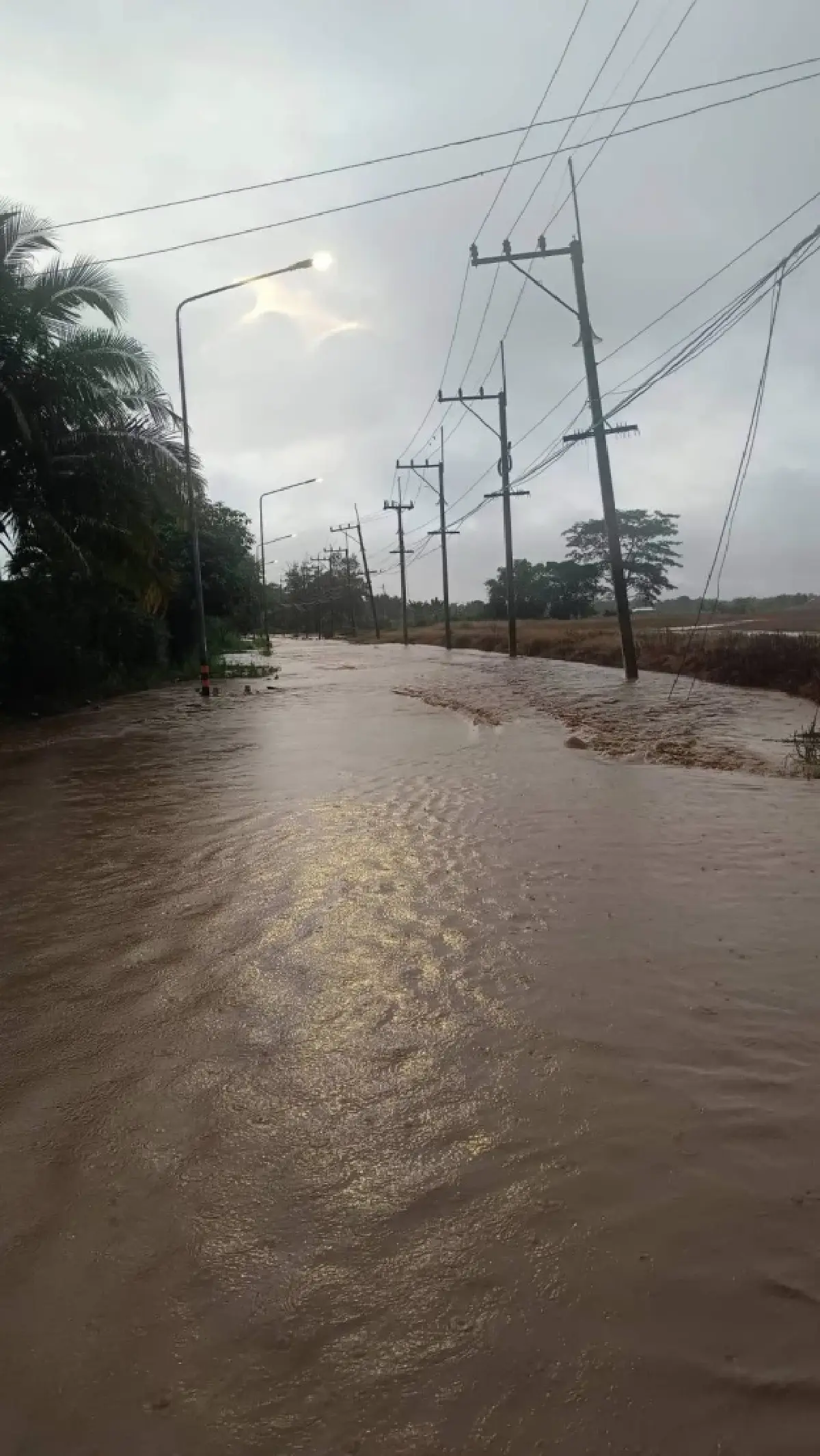 ฝาง-แม่อาย เชียงใหม่ น้ำท่วมหนักสุด น้ำเกินวิกฤตแดง ระวังดินถล่ม