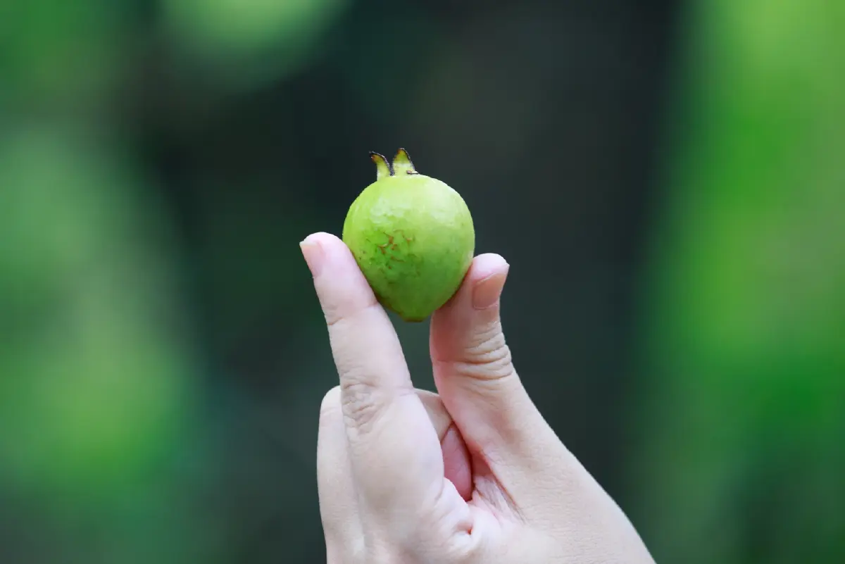 \'อาบป่า\' เทรนด์ป่าบำบัดมาแรง ชวนหยุดงาน เข้าป่าไปซ่อมใจ