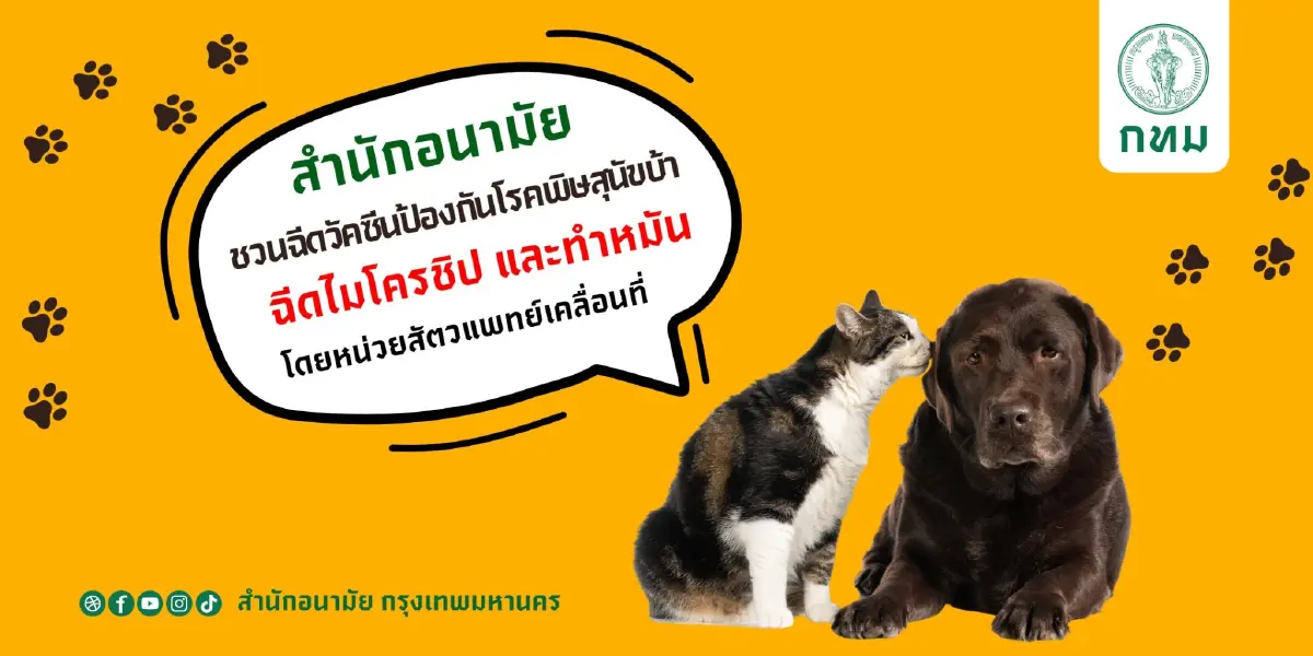 พิกัด หน่วยสัตวแพทย์ ทำหมันหมาแมว ฉีดวัคซีนฟรี 7-10 ต.ค. ทั่วกรุง