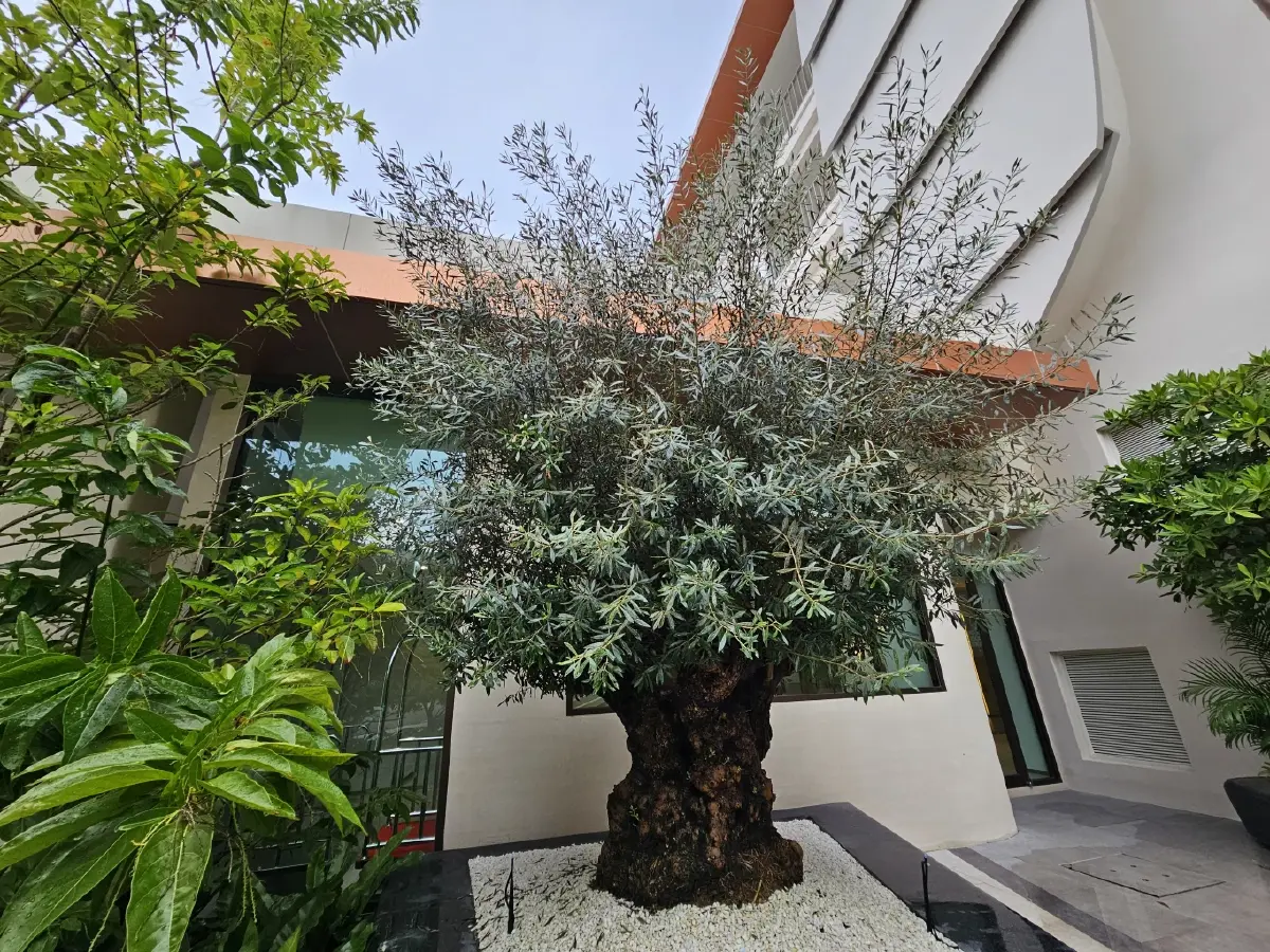 Marni Pattaya (มาร์นี พัทยา) ที่พักโรงแรม แห่งใหม่ ณ 'พัทยาใต้'