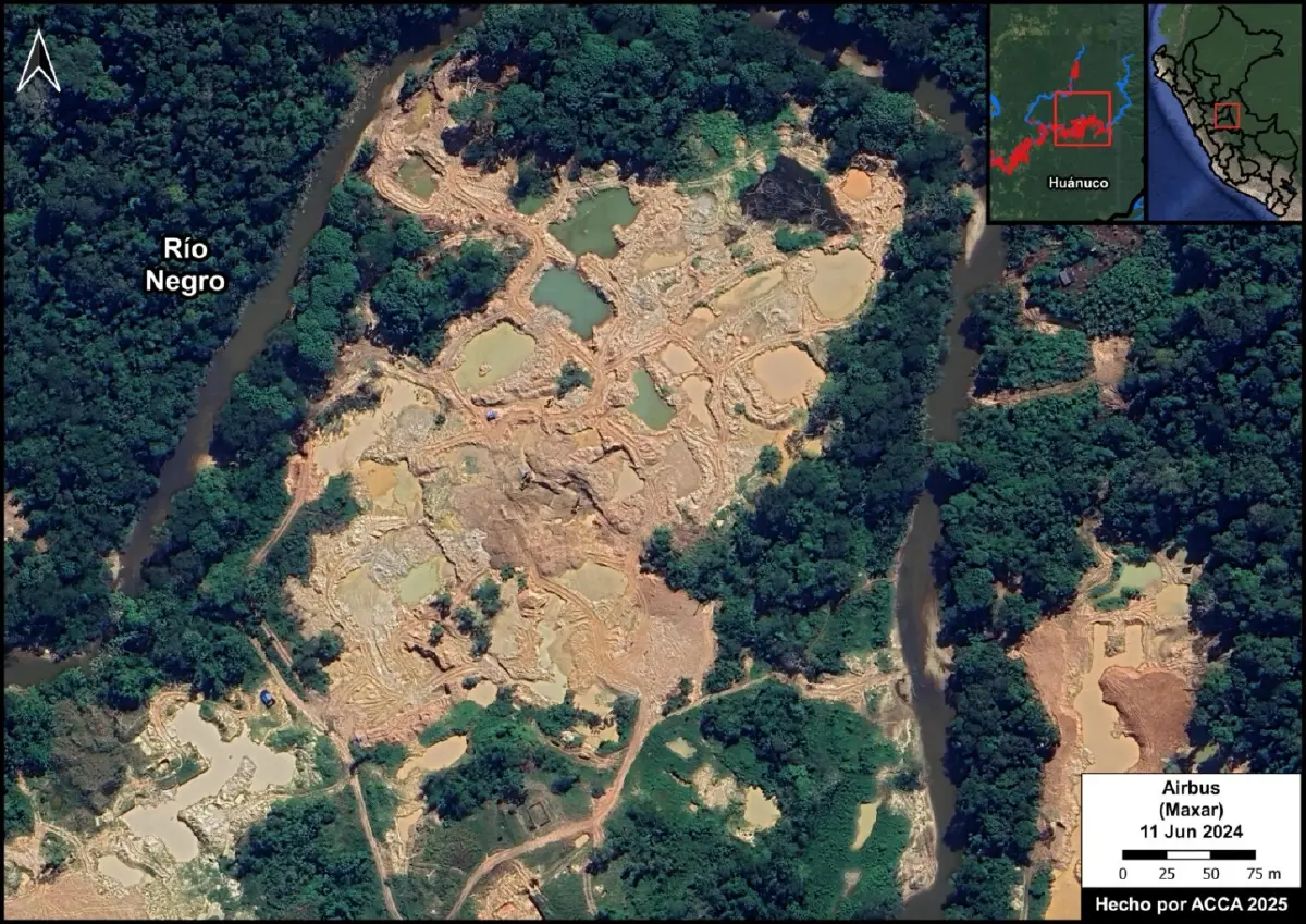 ‘ป่าแอมะซอน’ ถูดตัดทำ ‘เหมืองทองผิดกฎหมาย’ เสียหาย 875,000 ไร่ 