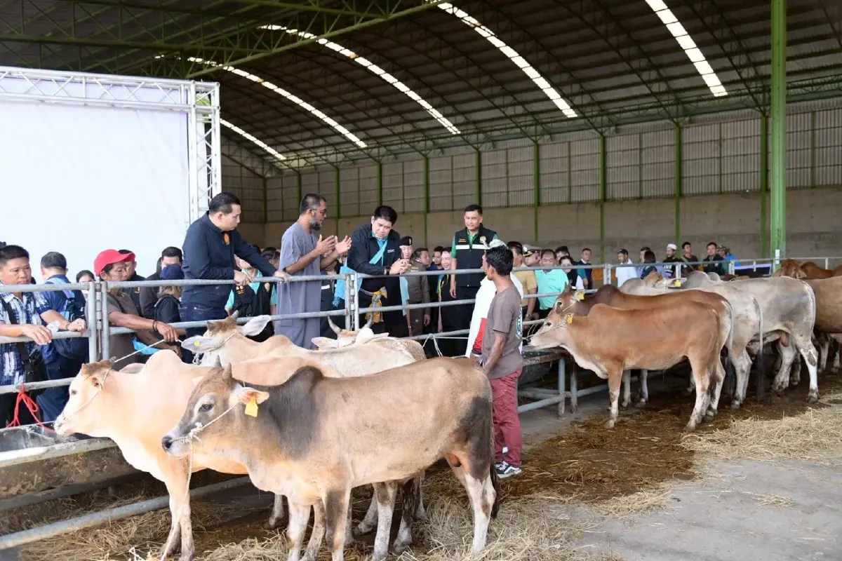 ธรรมนัส แก้ปัญหาราคาโคตกต่ำ เคาะปรับกิโลกรัมละ 80 บาทใน 3 เดือน