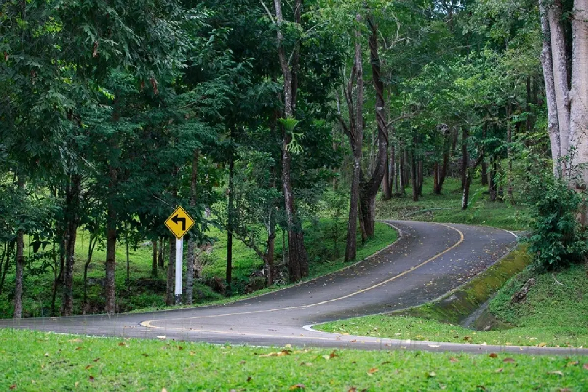 ชวนไปอาบป่า เที่ยวขุนขาน บ่อแก้ว สะเมิง ลิ้มรสอาหาร 4 ชนเผ่า