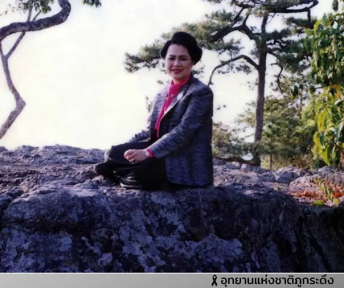 ตามรอย ต้นสนสามพันปี บนยอดภูกระดึง พระราชปณิธานสีเขียว 'สมเด็จพระพันปีหลวง'