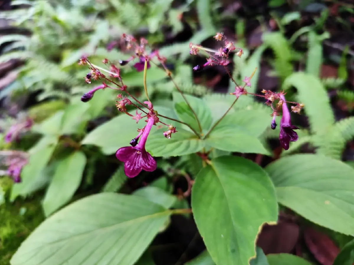 ดินแดนสงบและความพิศวงทางธรณี... วัดเขาประตูชุมพล