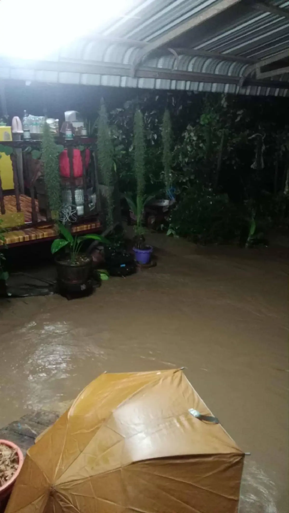 ฝนตกหนักพิษณุโลก น้ำป่าไหลหลาก ท่วมเนินมะปราง-ไฟดับ อ่วม 100 หลัง