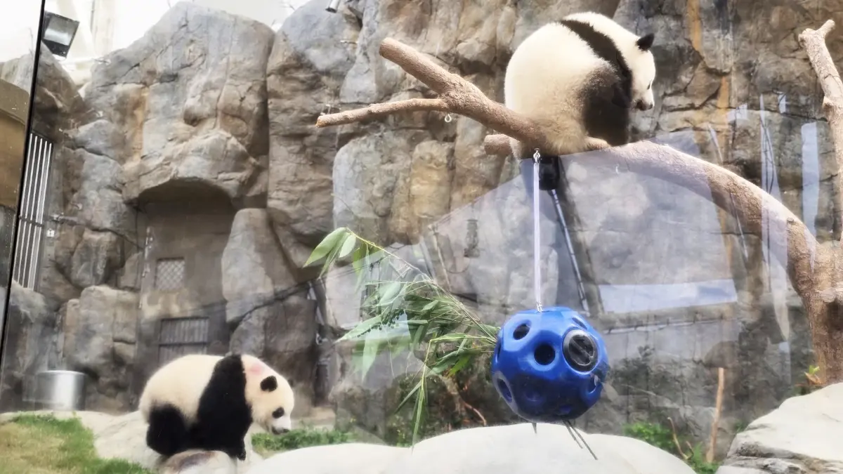 เที่ยวสนุก พักผ่อนสบาย กับ 'Ocean Park Marriott'