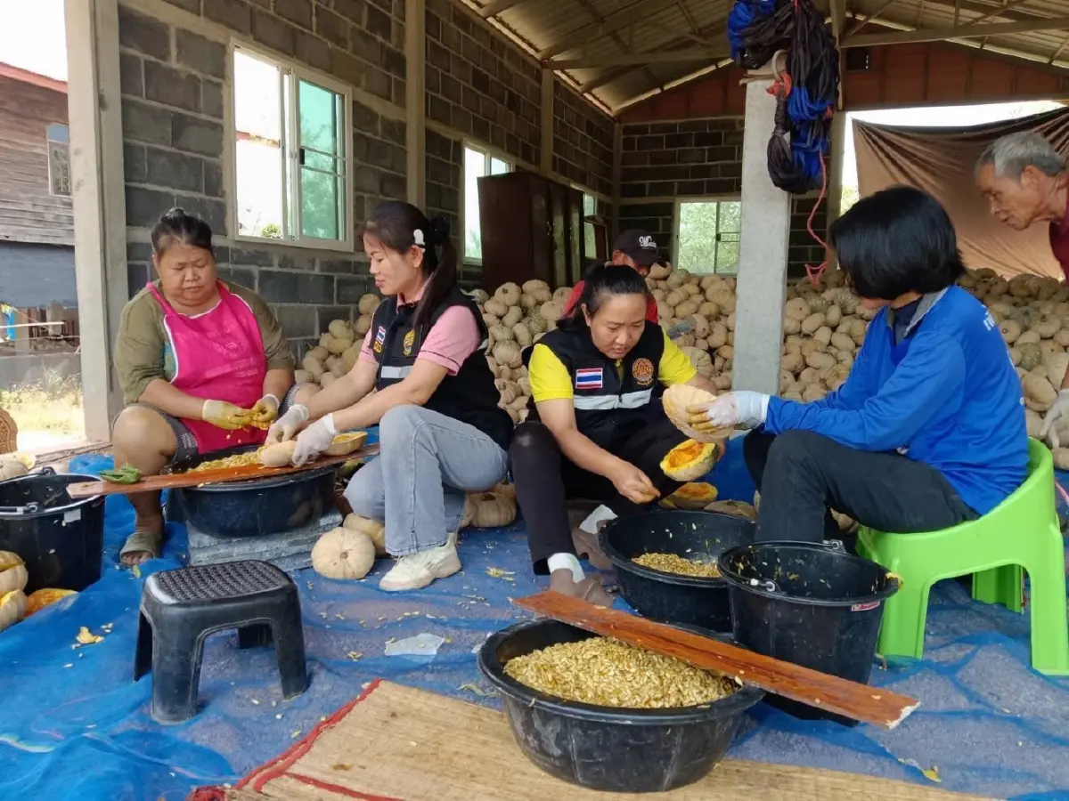 กรมปศุสัตว์  หนุน โครงการอาหารสัตว์ธงเขียว ลดต้นทุน สร้างรายให้เกษตรกร