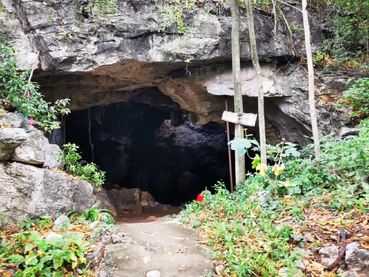 ถ้ำอะไร ...ขนาดไก่ยังหล่น