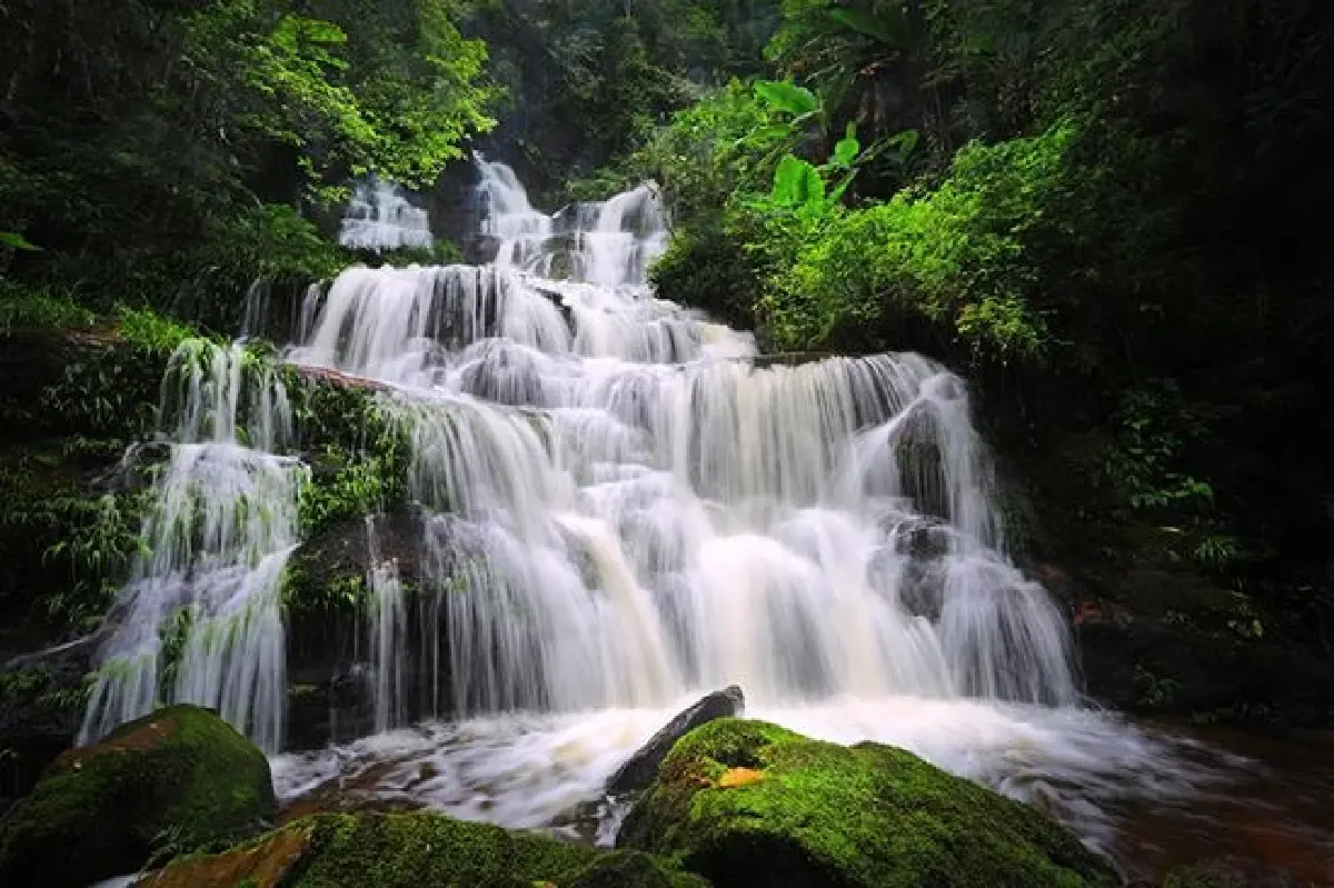 ชวนเที่ยว 'ภูหินร่องกล้า' สัมผัสลมหนาว ชมพระอาทิตย์ขึ้น ทะเลหมอกยามเช้า