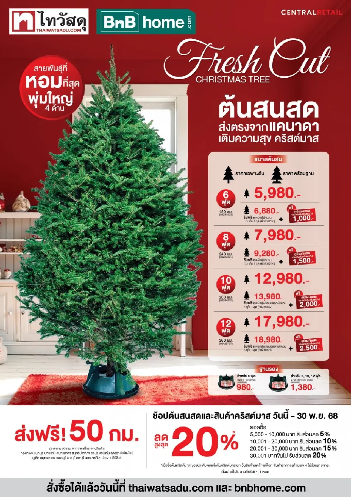 ไทวัสดุ และ บีเอ็นบี โฮม เปิดพรีออร์เดอร์ ‘ต้นสนสดจากแคนาดา’ รับเทศกาลคริสต์มาส