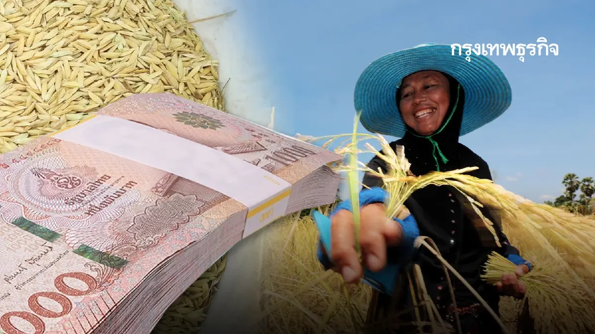 โอนเข้าแล้ว 89% เงินไร่ละ 1000 ช่วยชาวนา ส่งข้อมูลเพิ่มอีก เกษตรกร