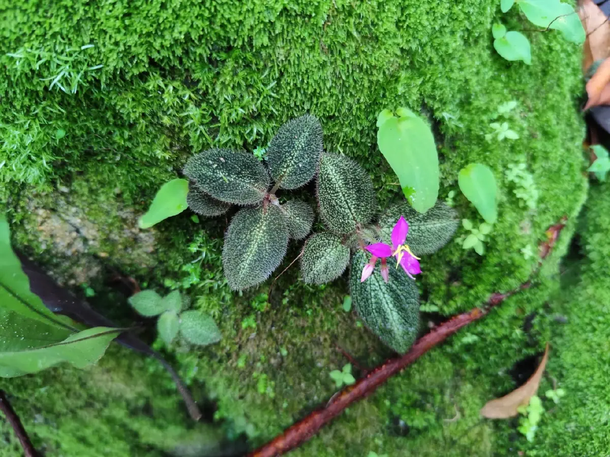 ดินแดนสงบและความพิศวงทางธรณี... วัดเขาประตูชุมพล