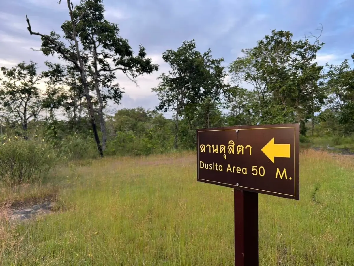 ชมความงาม "พรรณไม้พระราชทานนาม" บานสะพรั่ง ณ อุทยานแห่งชาติภูพาน
