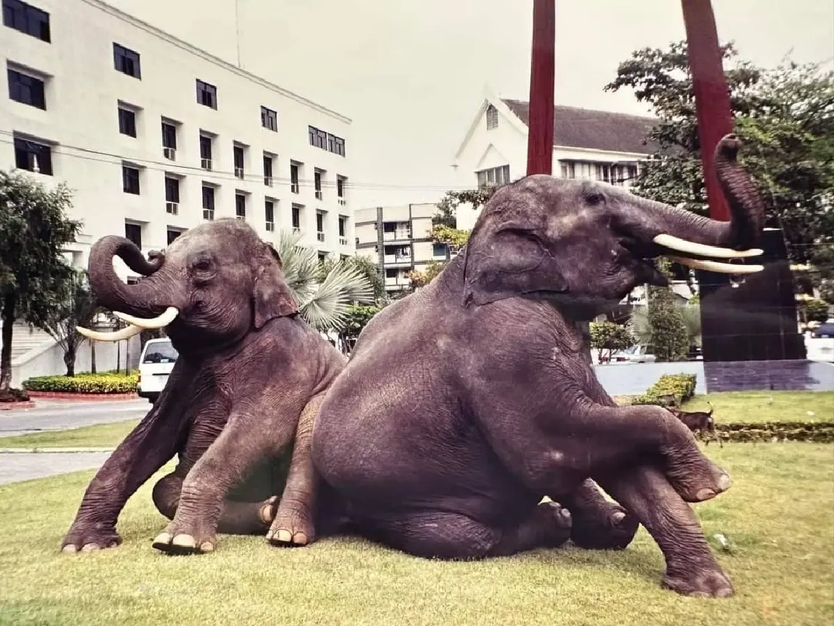 นายกฯอนุทิน อนุมัติ 'สุชาติ' บินด่วนศรีลังกา ทวงคืนช้างไทย ประตูผา–ศรีณรงค์
