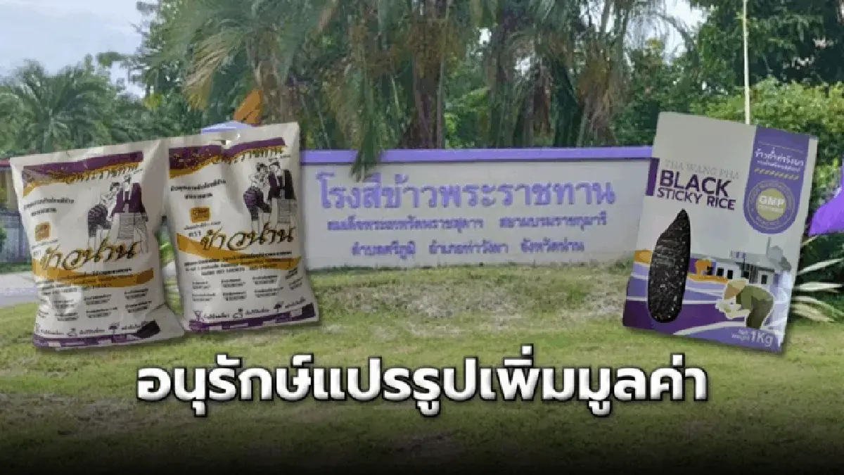 โรงสีข้าวท่าวังผา ชุบชีวิตชาวนาน่าน อนุรักษ์-แปรรูป-เพิ่มมูลค่า พันธุ์ข้าวพื้นเมือง