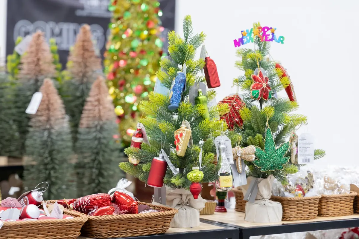 ไทวัสดุ และ บีเอ็นบี โฮม เปิดพรีออร์เดอร์ ‘ต้นสนสดจากแคนาดา’ รับเทศกาลคริสต์มาส