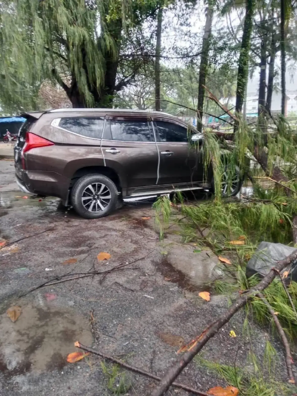 ด่วน! ต.กมลา ภูเก็ต วิกฤติน้ำท่วมหลายจุด ฝนถล่มไม่หยุด น้ำรอระบาย