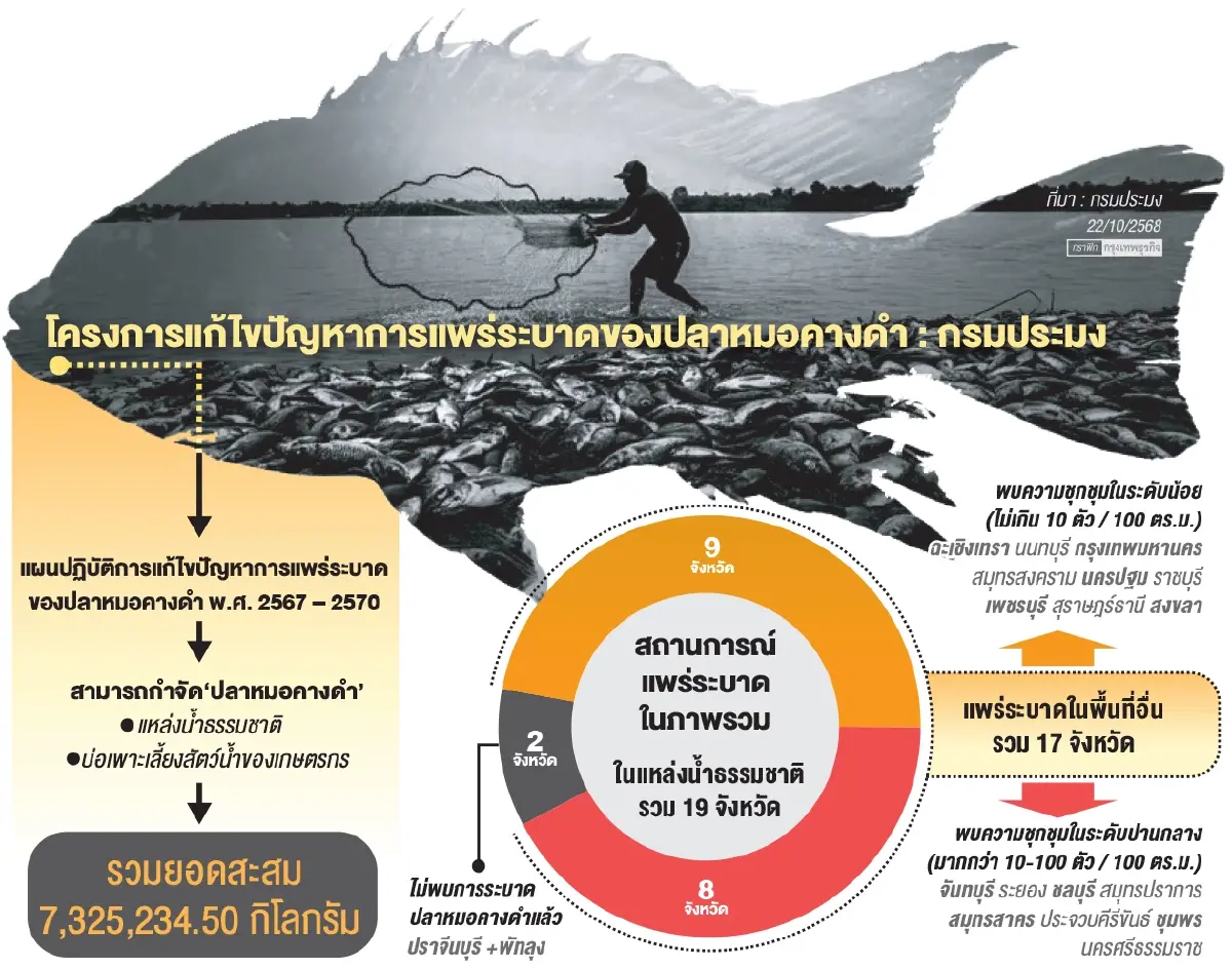 ‘ปลาหมอคางดำ’ทั่วไทย7.3ล้านกิโลกรัม กรมประมงกำจัดแล้วลุยล้างบางสิ้นซาก