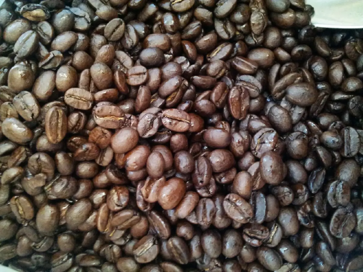 บ้านเล็กในป่าใหญ่ ฟ้าห่มปก เมื่อฟ้าปกเกล้าชาวไทยภูเขา