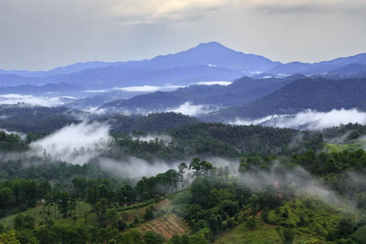 ไม่มากมาย แค่มากพอ หนาวนี้ที่เฝ้ารอ 'เด๊อะ ทะ คอ'