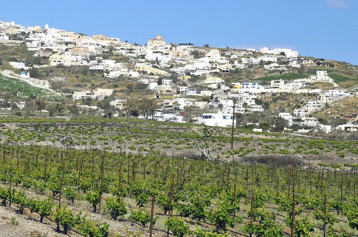 ไวน์กรีซ ดื่มด่ำอารยะธรรมโบราณ