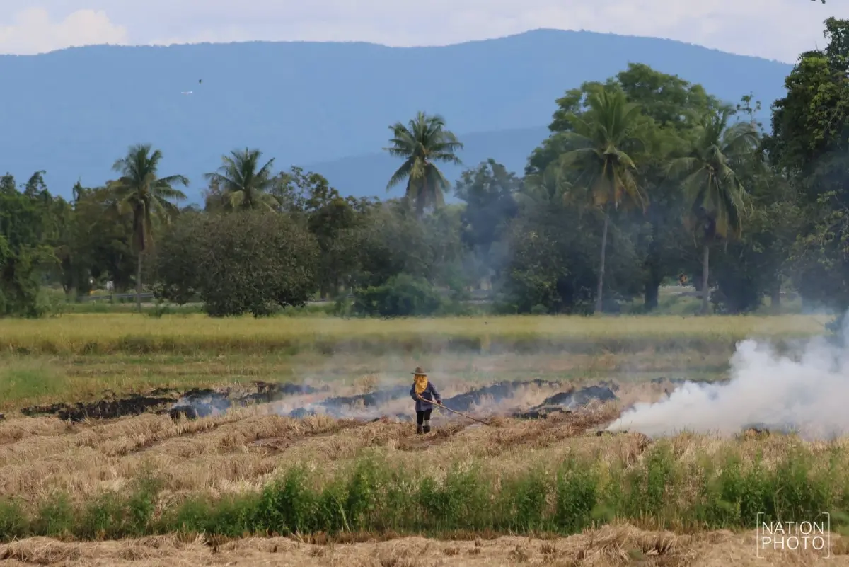 เผาไม่เลิก ฝุ่นพิษ PM2.5 จ่อซ้ำรอย เตรียมตัว ฤดูหนาวนี้หายใจลำบาก