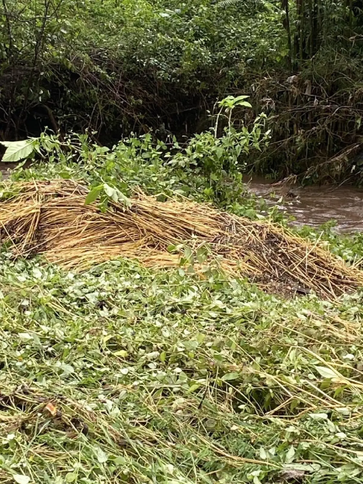 อันตรายฝนถล่ม จอมทอง เชียงใหม่ สั่งปิดน้ำตกแม่กลาง-ผาดอกเสี้ยว