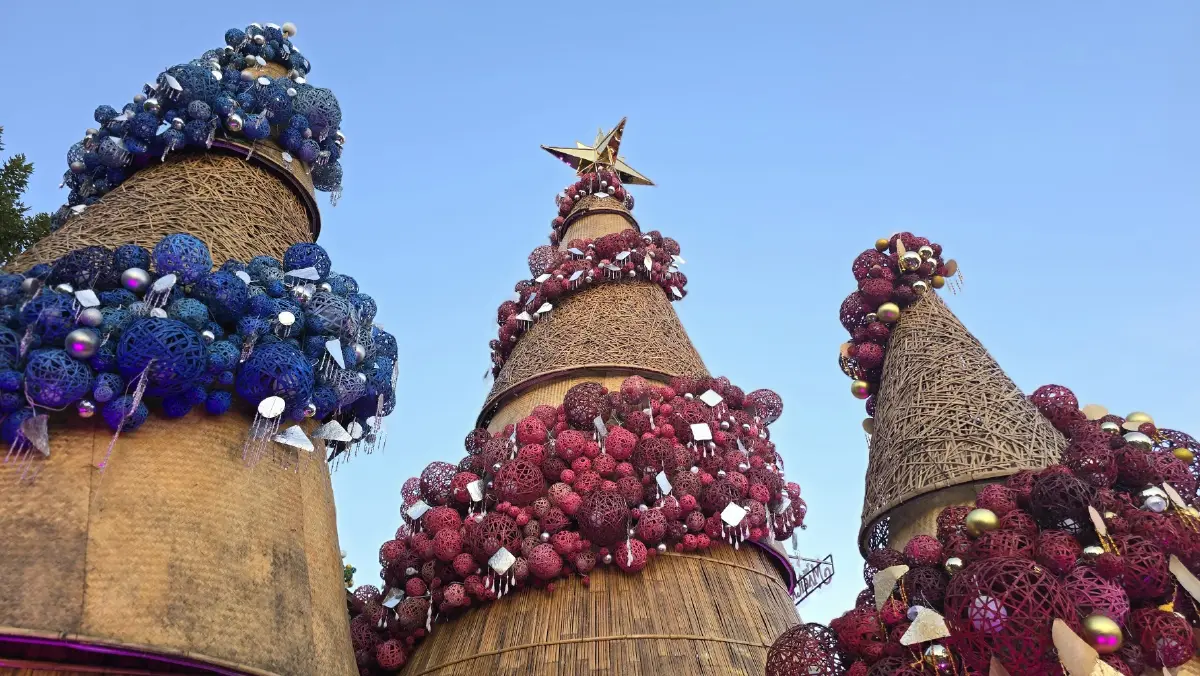 เปิดไฟ ‘ต้นคริสต์มาสหมอกพันวา’ เทศกาลสีสันกาสะลอง 2025 เทิดพระเกียรติ 'สมเด็จพระพันปีหลวง'