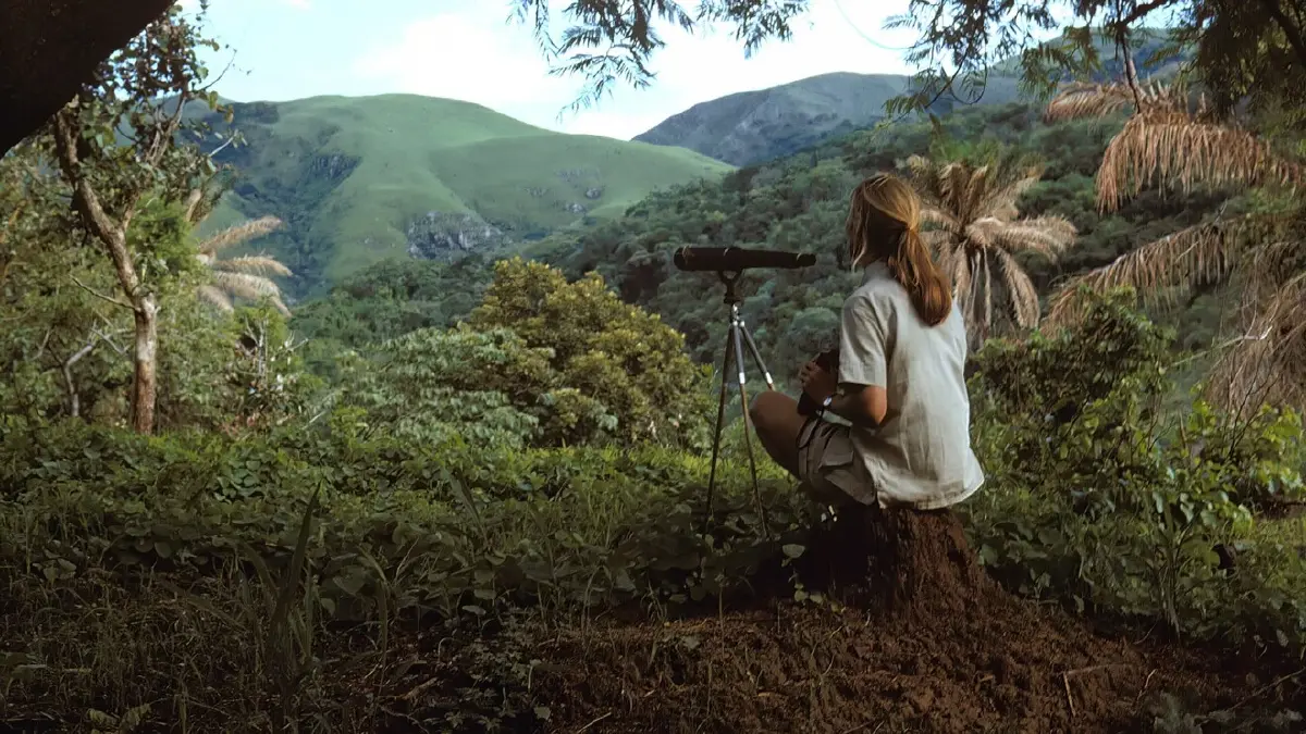 'AWS' ดึงพลัง AI แปลงงานวิจัย 'วานรวิทยา' 6 ทศวรรษสู่ดิจิทัล