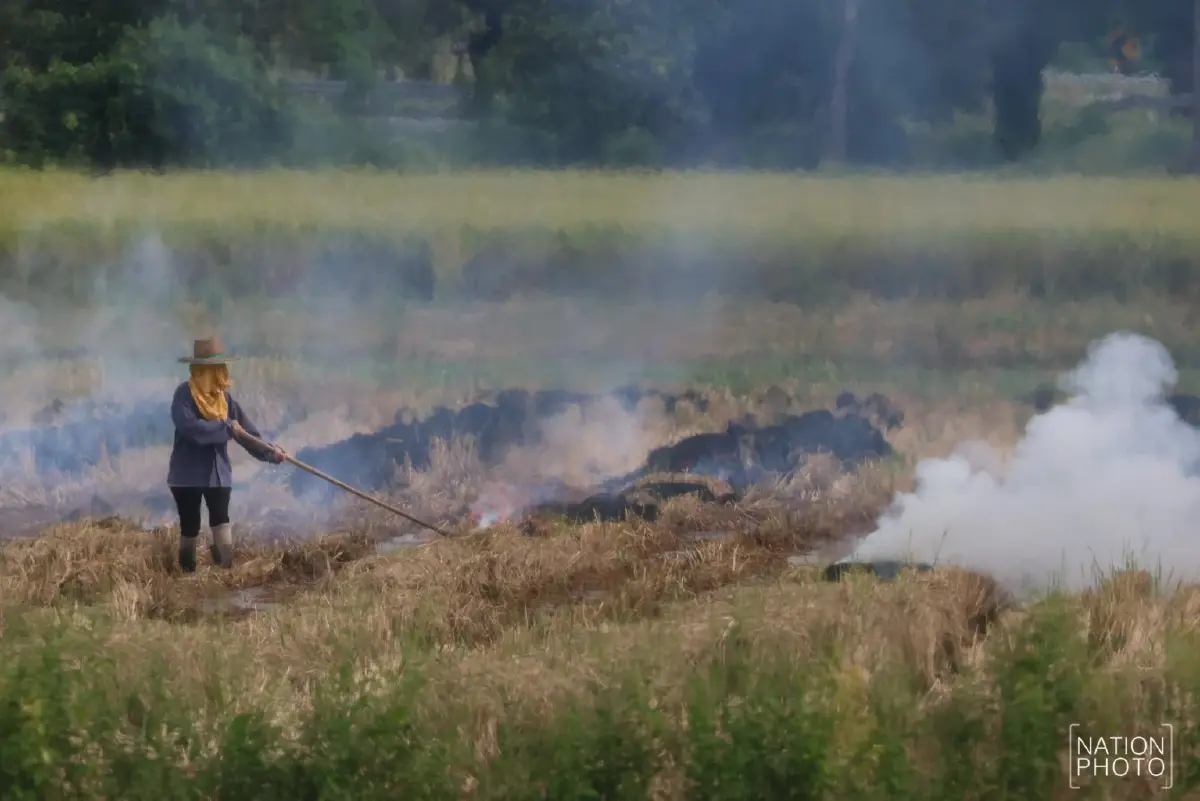 เผาไม่เลิก ฝุ่นพิษ PM2.5 จ่อซ้ำรอย เตรียมตัว ฤดูหนาวนี้หายใจลำบาก