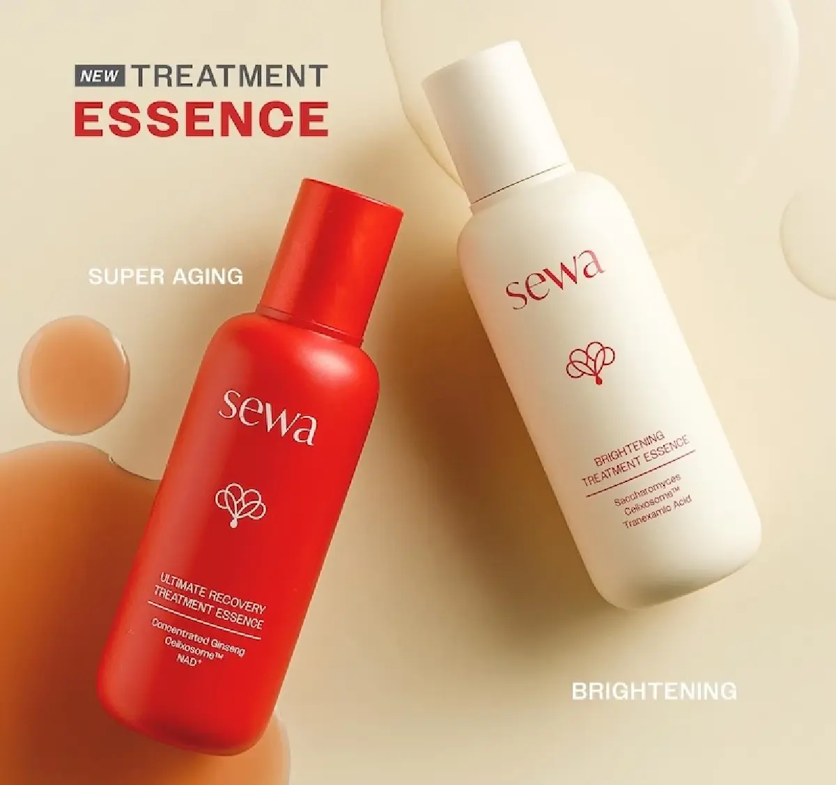 'อดทนเท่านั้นจึงจะรอด' บทเรียน 'เซวา' รีแบรนด์ครั้งใหญ่ คืนชีพธุรกิจ