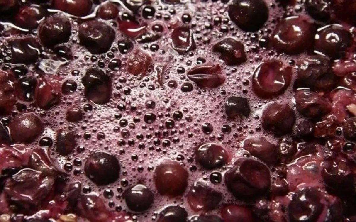 โบโฌเลส์ นูโว สีสันที่กำลังจะหายไปจากเมืองไทย