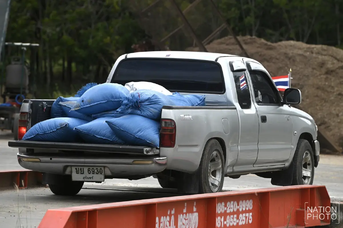ข้าวหอมมะลิสุรินทร์ พุ่งตันละ 13,000 บาท ชาวนาเร่งขาย หวั่นกระทบชายแดน
