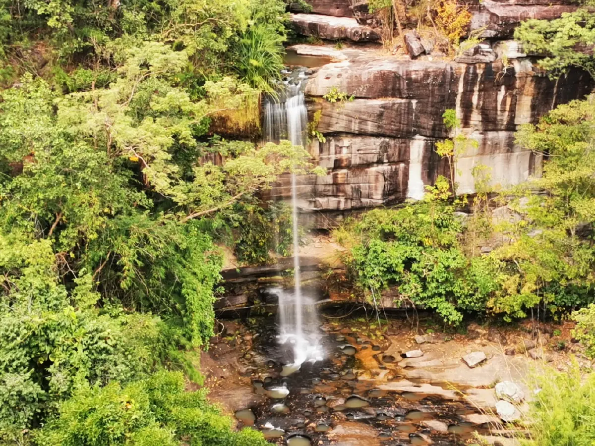 ลายแทง...ดูดอกไม้นามพระราชทาน 'สมเด็จพระพันปีหลวง'