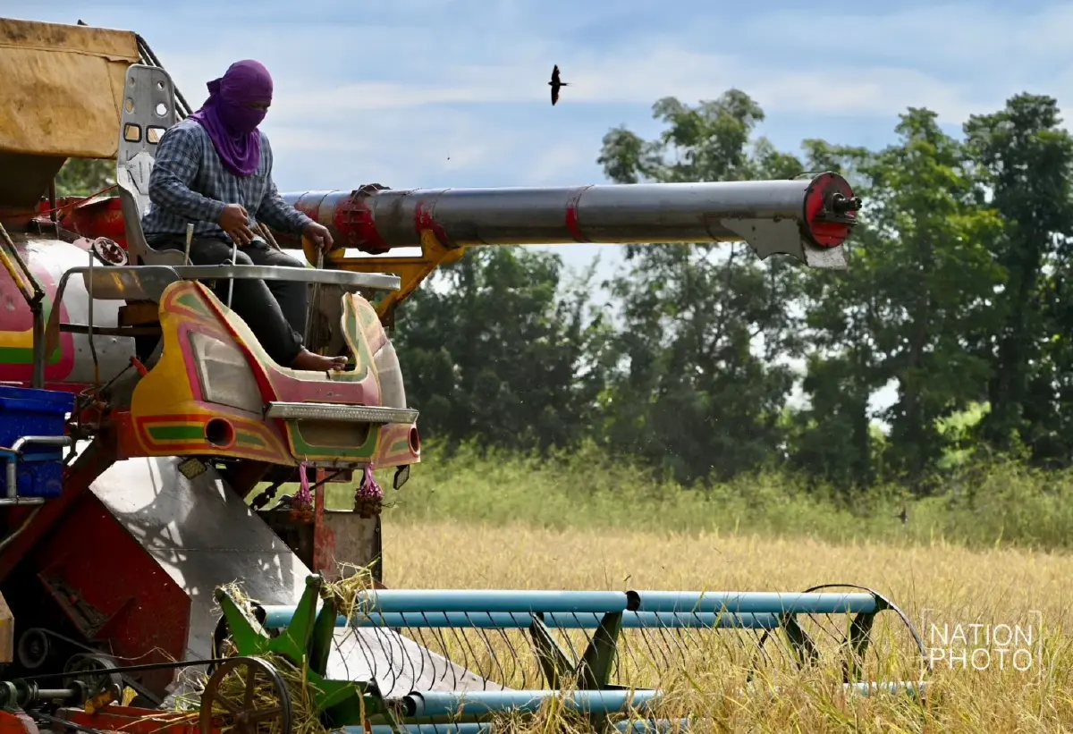 ชายแดนเดือด! ชาวนาหนองหญ้าแก้ว ยอมขาดทุน ตัดข้าวเขียว หนีปะทะซ้ำ