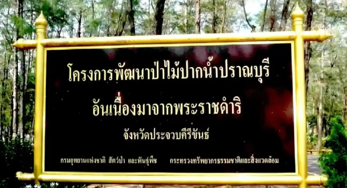 "วนอุทยานปราณบุรี" ผืนป่าชายเลนใต้ร่มพระบารมี "สมเด็จพระพันปีหลวง"