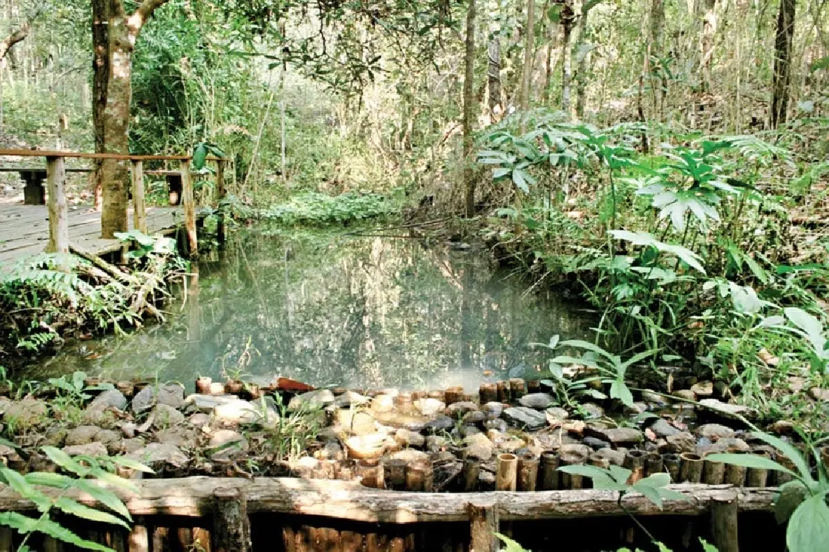กรมชลประทานตามรอย‘พ่อ-แม่ของแผ่นดิน‘ พัฒนาแหล่งน้ำเคียงคู่ฟื้นฟูป่า