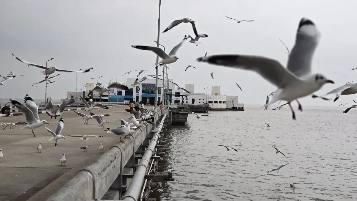 ชวนเที่ยว ใกล้กรุง 'พิพิธภัณฑ์ช้างเอราวัณ-บางปู' ด้วยรถไฟฟ้า BTS