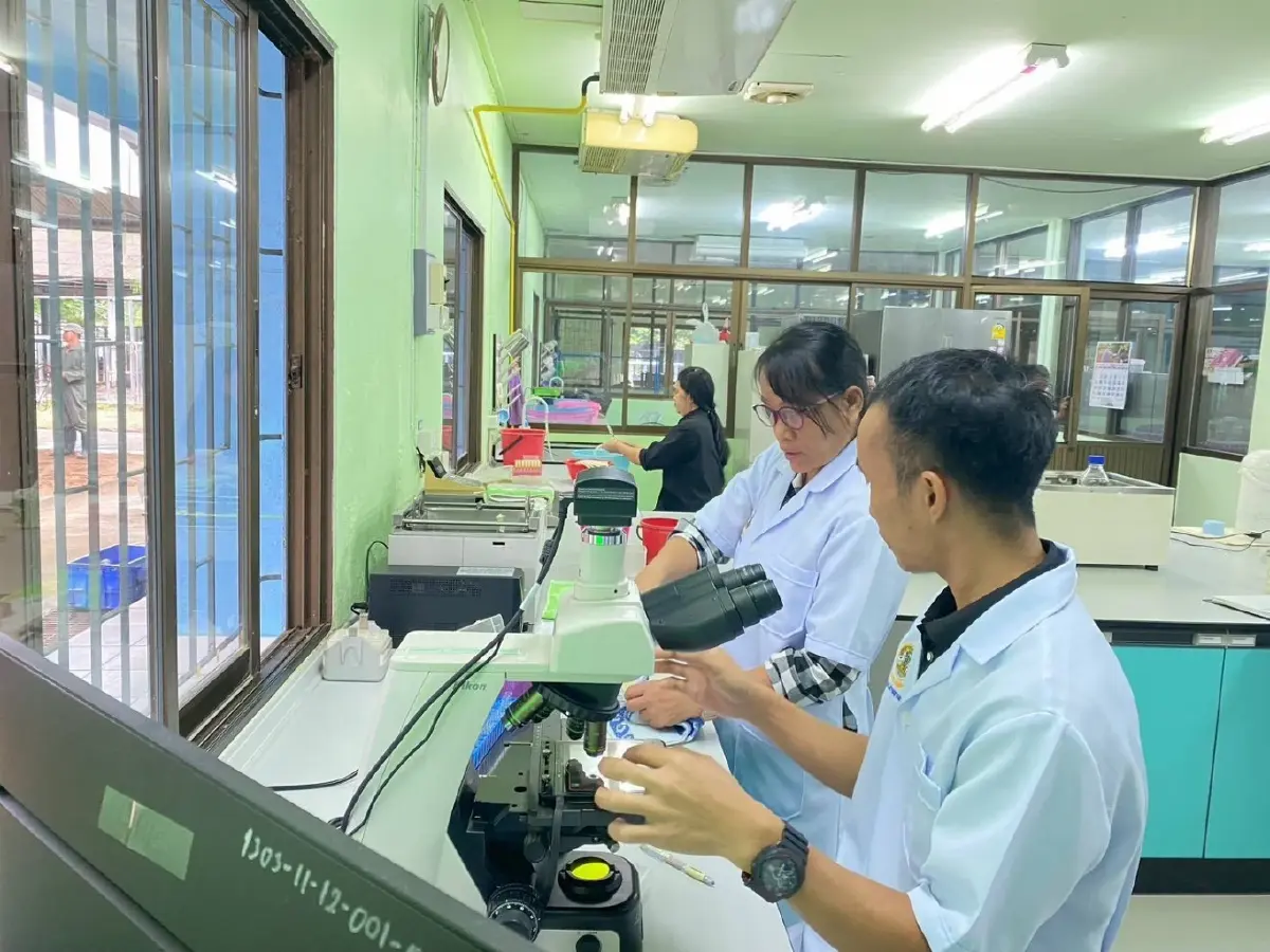 น้ำนมโคสดไทยปลอดภัยทุกหยด คุมเข้มตั้งแต่ฟาร์มถึงผู้บริโภค