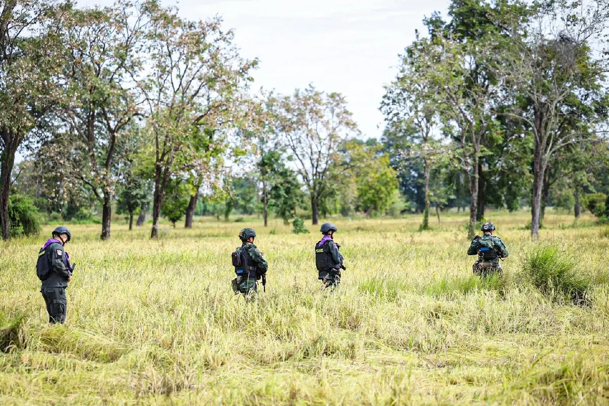 ทหารถือปืน-เกี่ยวข้าว ช่วยชาวนาชายแดนสระแก้ว ทบ.ย้ำอธิปไตยชาติ