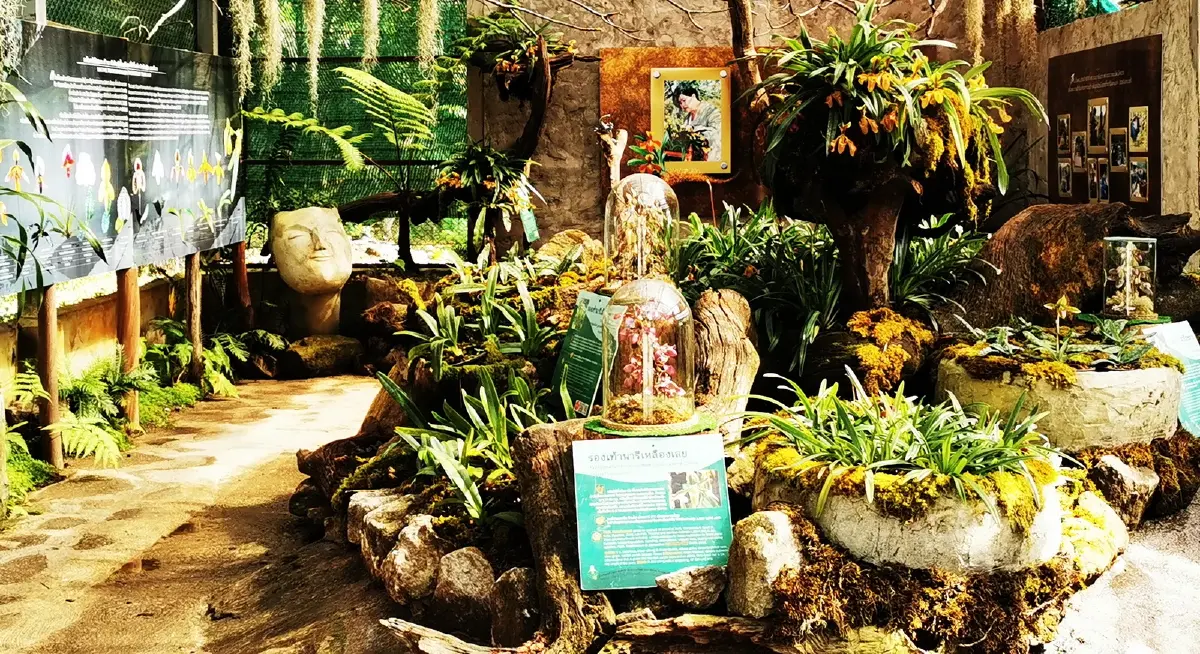 ด้วยพระบารมี... ‘รองเท้านารี’ จึงอยู่คู่ป่าไทย