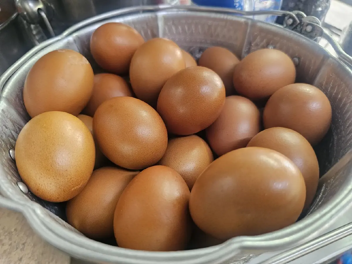 ‘โกบู้รสซิ่ง’ ก๋วยเตี๋ยวต้มยำในตำนาน 50 ปี ซอยนวมินทร์ 8