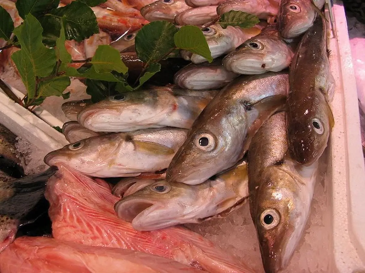 ลัวร์ แวลลีย์ (Loire Valley) มนต์เสน่ห์แห่งไวน์และปราสาท