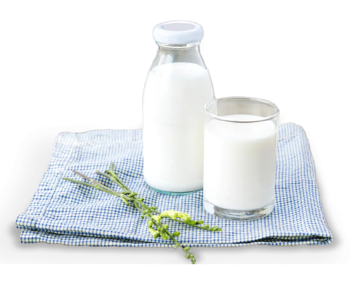 เข้าใจเรื่อง ‘นมวัว’ พาสเจอร์ไรซ์ สเตอริไลซ์ ยูเอชที ต่างกันอย่างไร